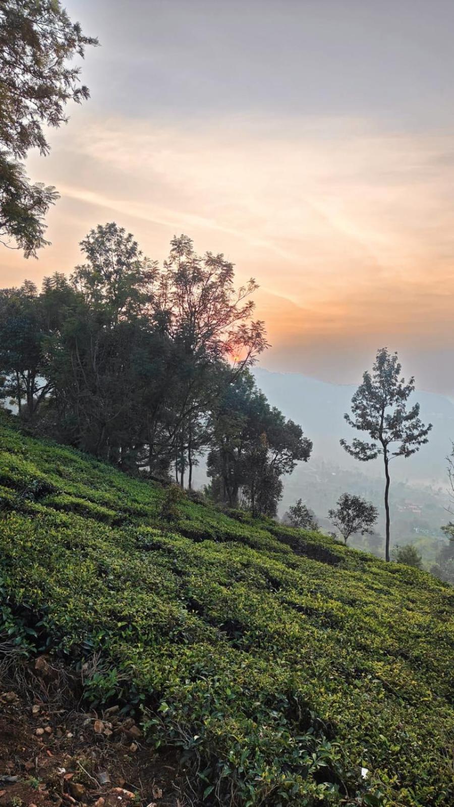 Moksha Infinity Valley Kotagiri Exterior photo